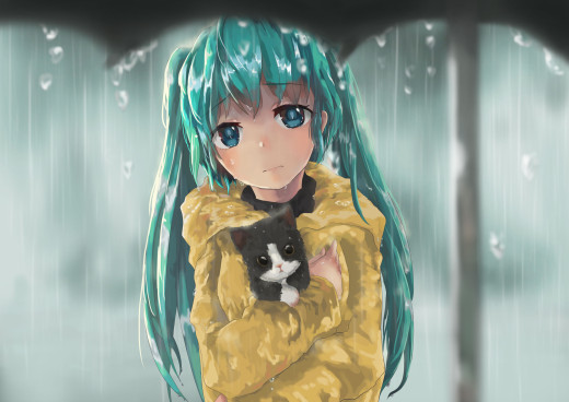 1081009 (a): :3000x2121